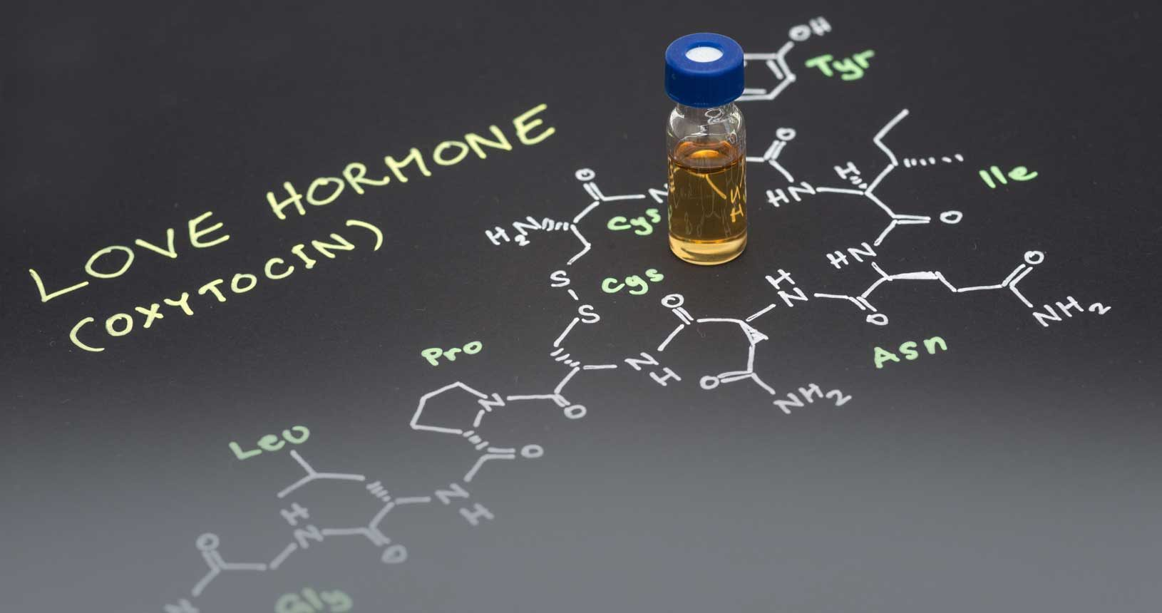 Oxytocin: Surprising Ways The “love Hormone” Boosts Physical Therapy